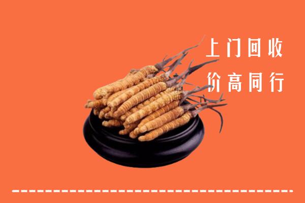 高价求购：石家庄市回收散虫草